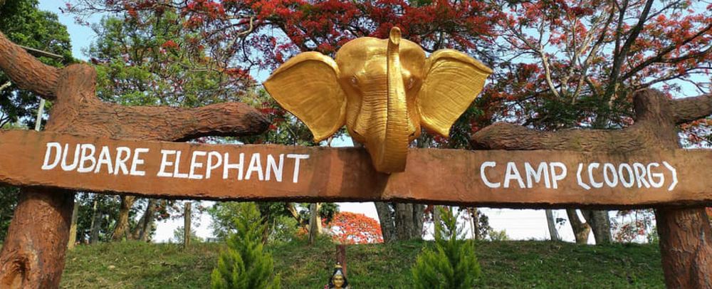 Dubare Elephant Camp