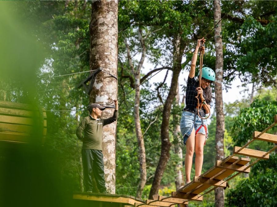 Canopy Zipline