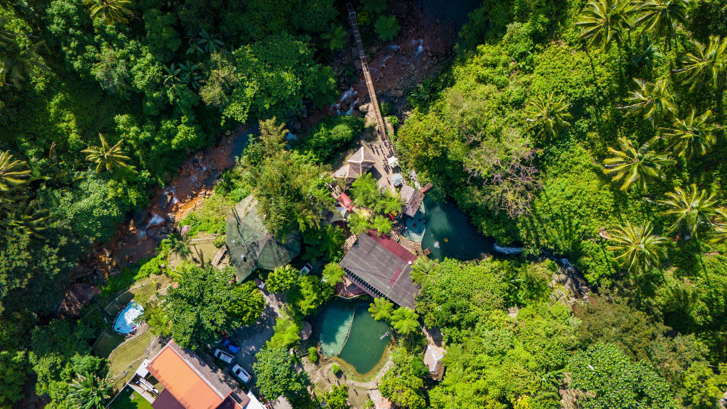 A forest retreat set into dense green canopy